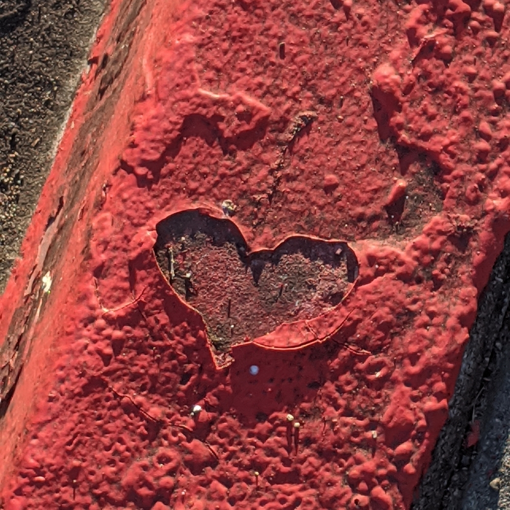 All sales $1.00 will go to San Diego Food Bank